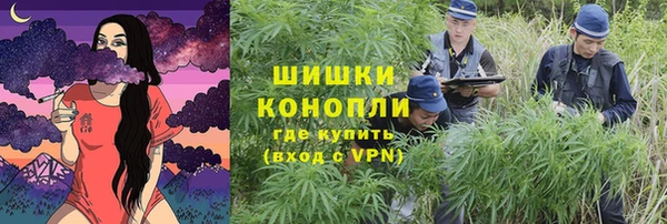 PSILOCYBIN Беломорск